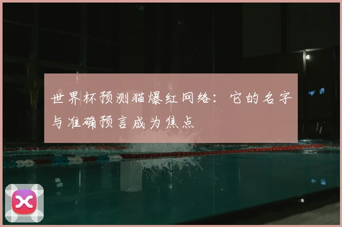 世界杯预测猫爆红网络：它的名字与准确预言成为焦点