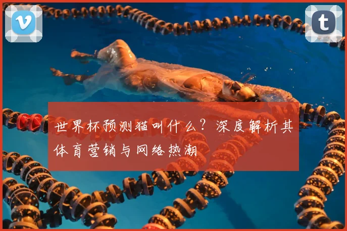 世界杯预测猫叫什么？深度解析其体育营销与网络热潮