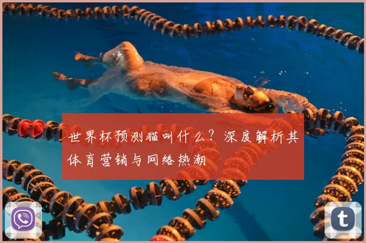 世界杯预测猫叫什么？深度解析其体育营销与网络热潮